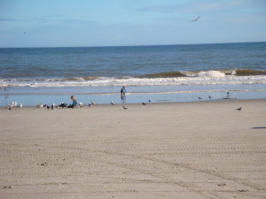 Seagulls and boogie board at the beach on Black Friday